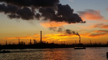 Rotterdam-industry
