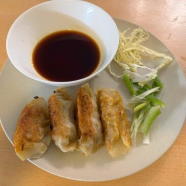 Japanese Gyoza (fried and then steamed dumplings)